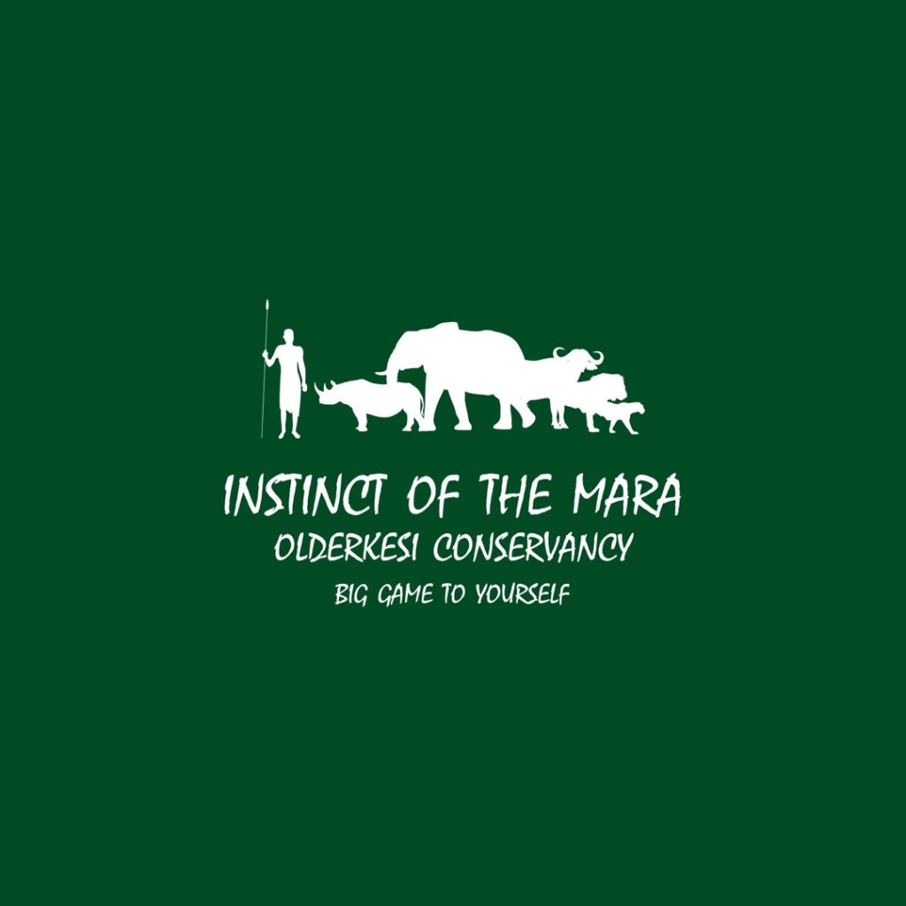 SECLUDED AFRICA - INSTINCT OF THE MARA - ARCHITECTURE PHOTOGRAPHY - SOCIAL MEDIA CONTENT CREATION