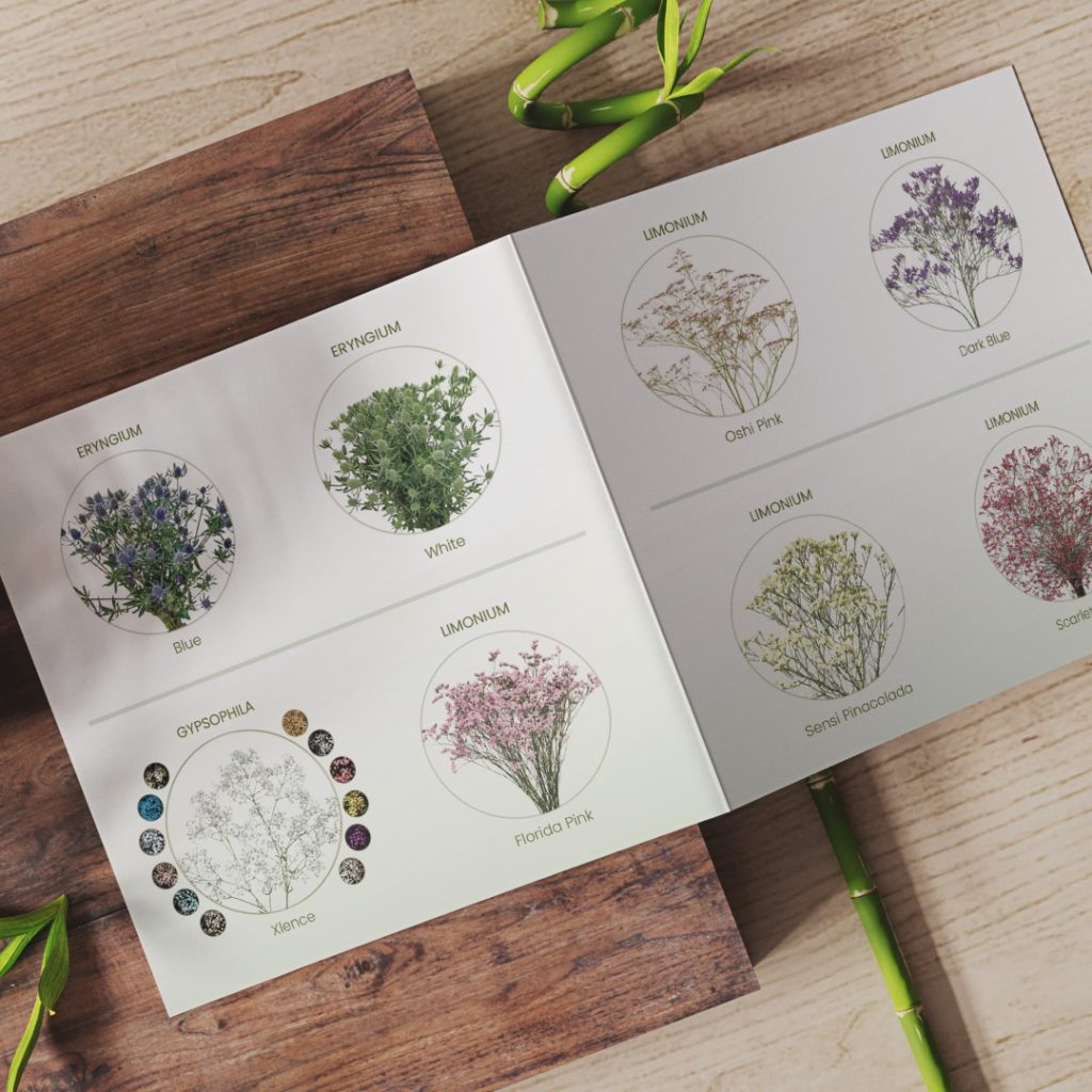 OMEGA BLOOMS - DESIGN